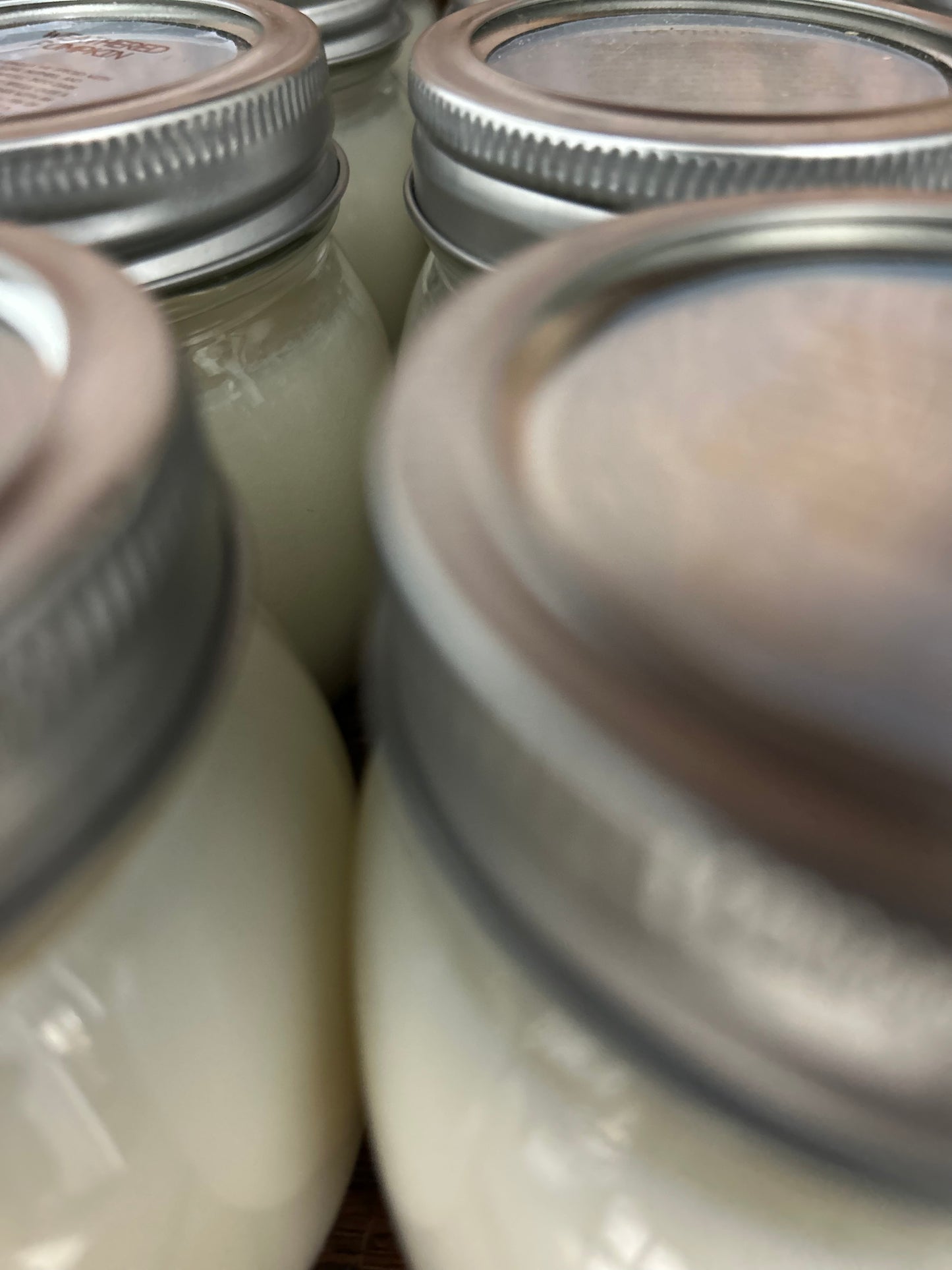 Vela Up My Allie Jar- Hojas caídas