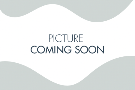 Calcomanía de hoja boho