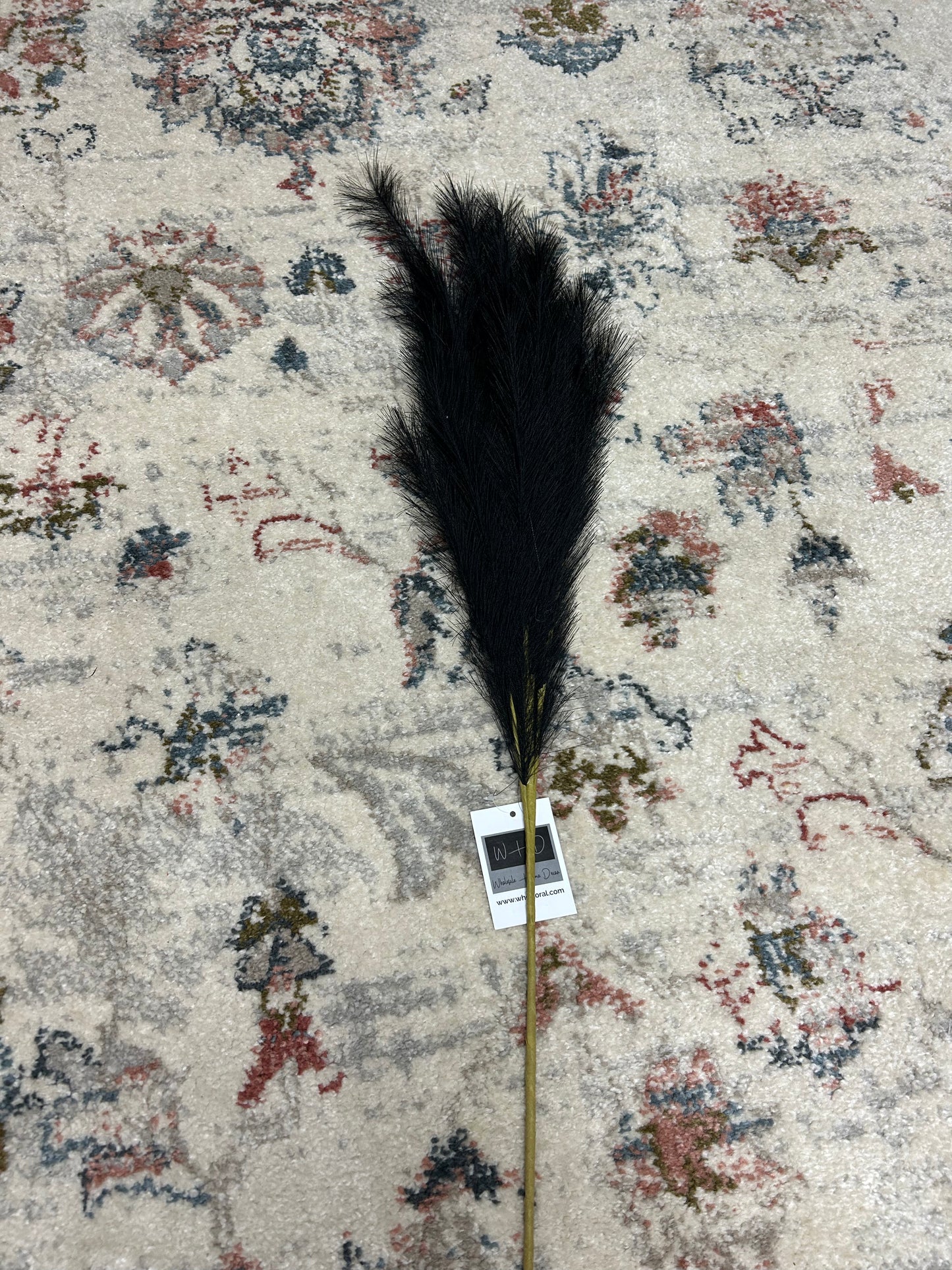 Hierba de pampa negra