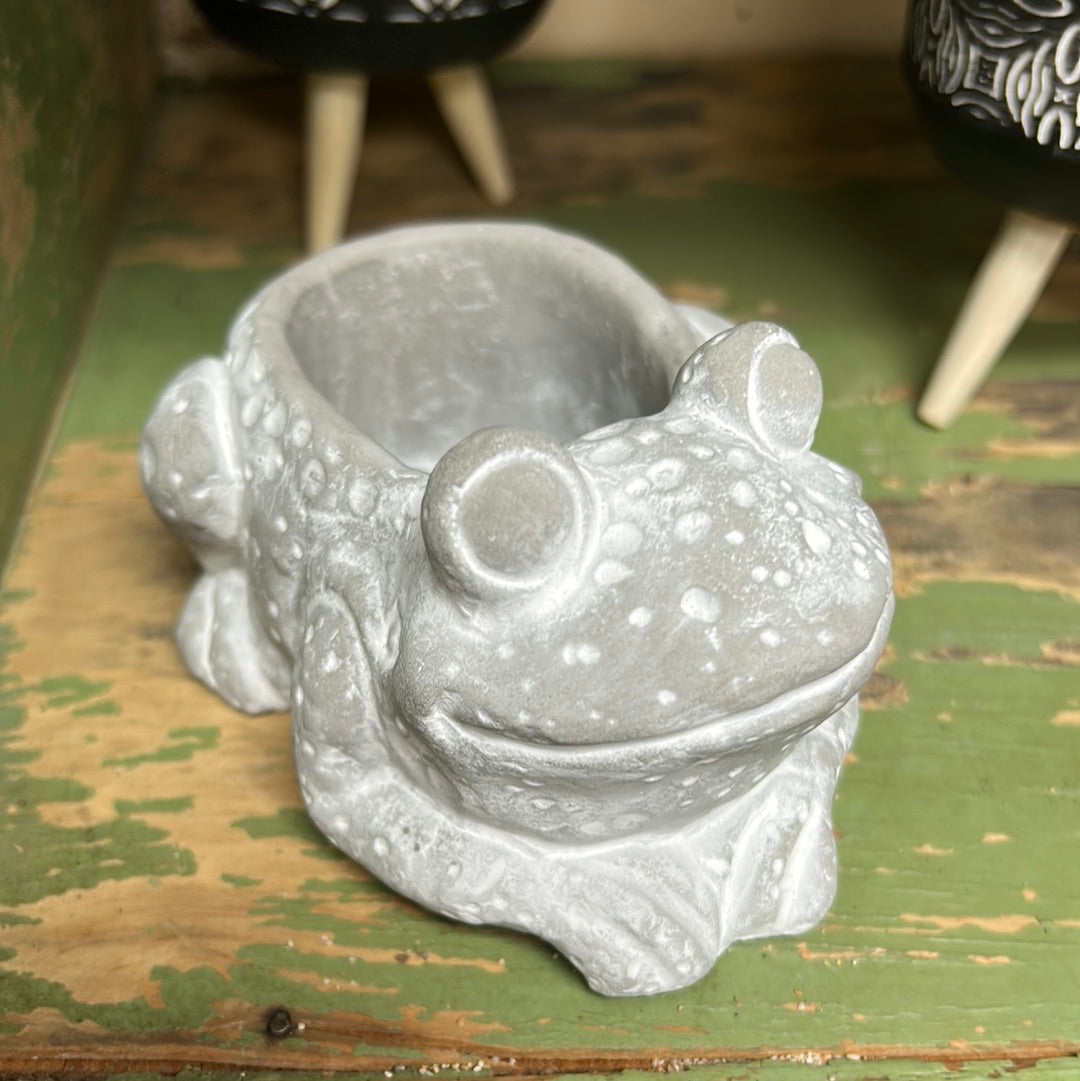 Macetero de resina de rana