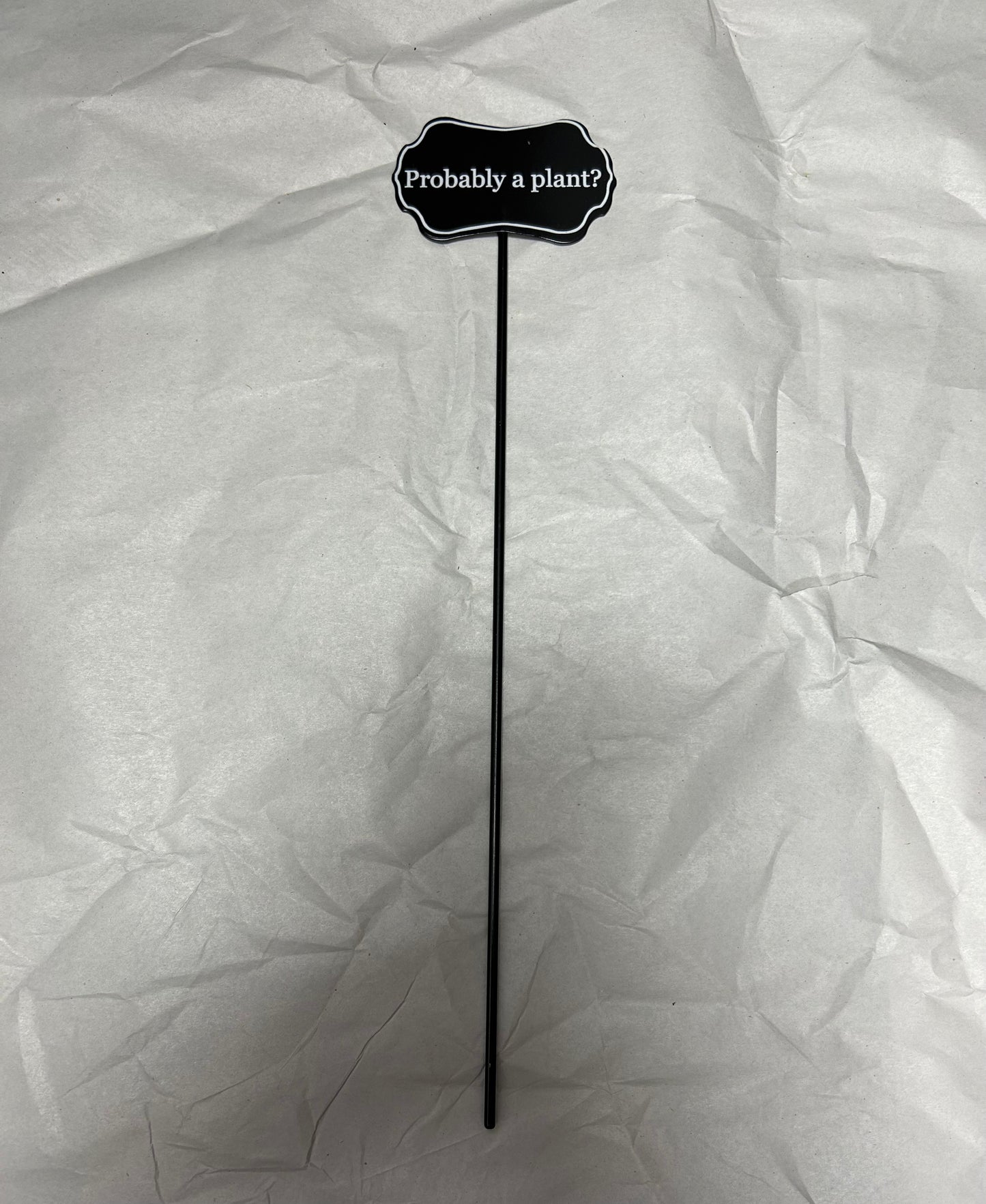 Selección de plantas: probablemente una planta