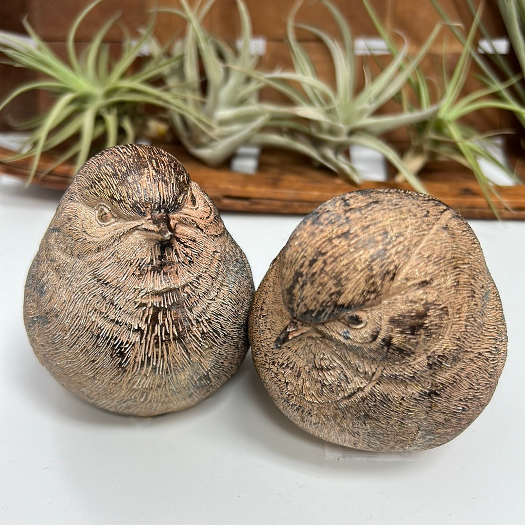 Chickadee gris/dorado