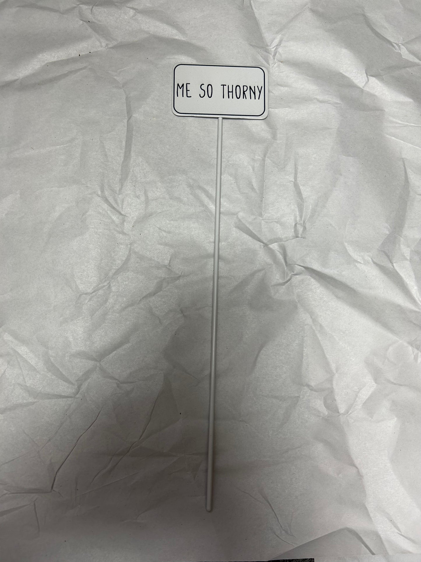 Plant Pick- Me So Thorny