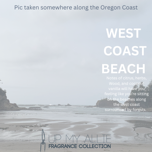 Car Diffuser- West Coast Beach