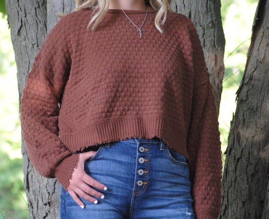 Madison Long Sleeve Sweater in Cappuccino
