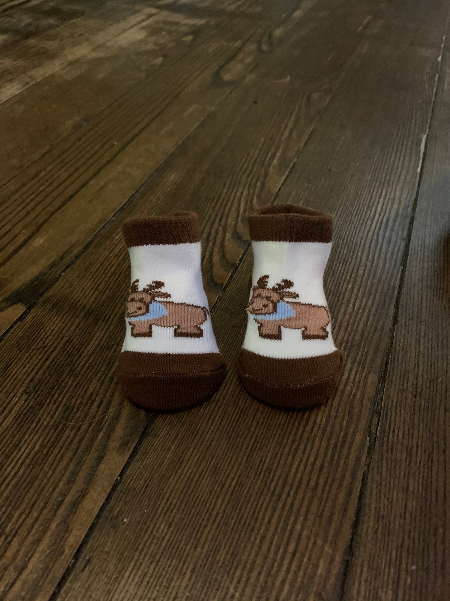 Melford the Moose Infant Socks