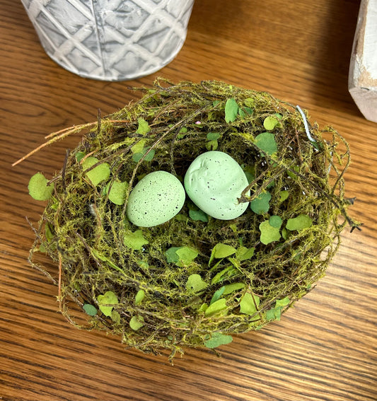 Birds Nest with Eggs