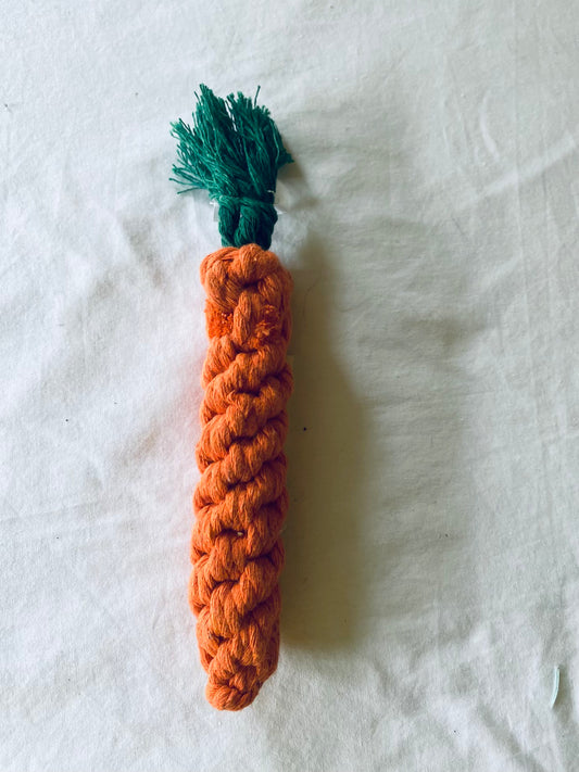Carrot Dog Chew Toy