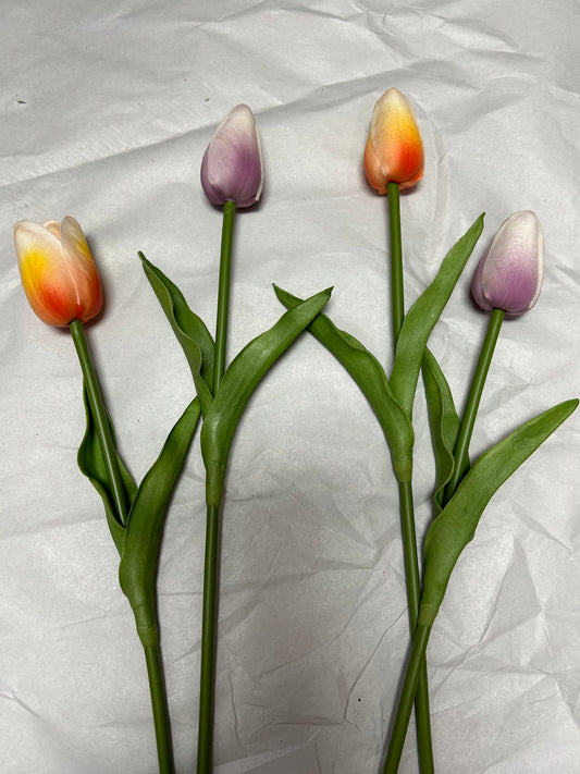 Assorted Single Tulip Stems