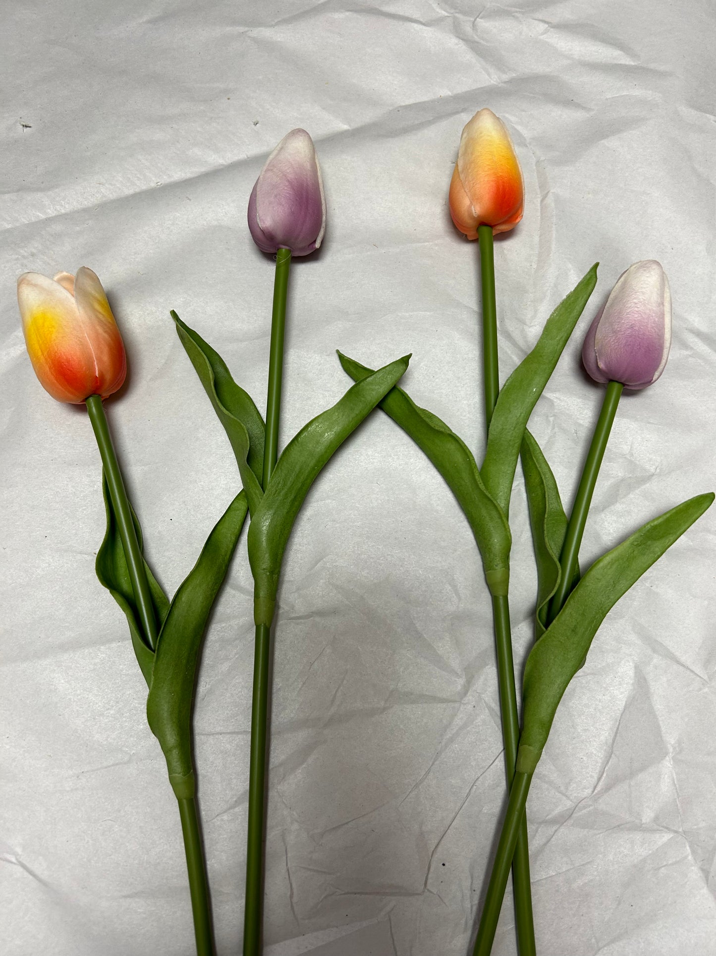 Tallos de tulipán individuales surtidos